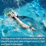 Dog Soccer Ball (Interactive Inflatable) – Training Toy for Large Dogs, Perfect for Border Collies and Outdoor Play" - Image 9